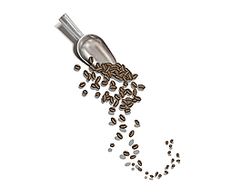 矢量玻璃瓶咖啡豆元素