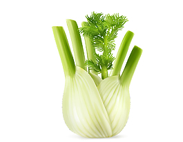 精美绿色手绘蔬菜西芹元素