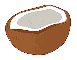 矢量手绘简约椰子元素