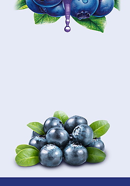 可爱蓝莓水果海报背景