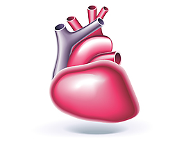 手绘心脏矢量元素