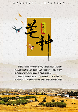 芒种-中国传统节气海报