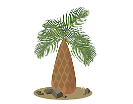 卡通扁平椰子树矢量元素