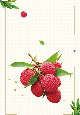 夏日水果清新鲜美荔枝广告背景素材
