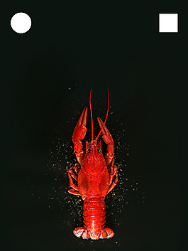 小龙虾开业海报背景模板