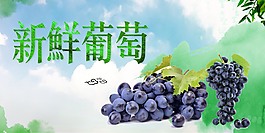 清新新鲜葡萄海报