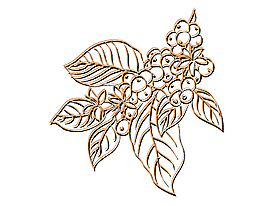 矢量手绘简笔画蓝莓树叶