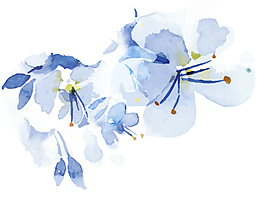 蓝色手绘水彩花朵元素