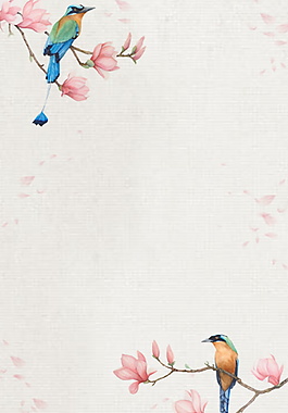 简约蓝鸟花枝夏至背景素材