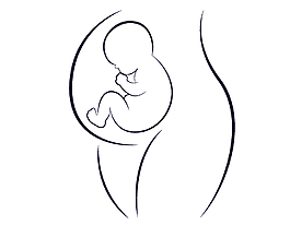 画宝宝在妈妈肚子图片图片