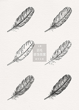 黑色手绘羽毛矢量素材