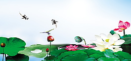 绿色风景夏至节气广告背景素材