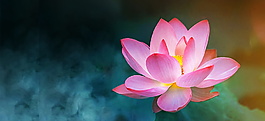 浓艳底纹烂漫花朵夏至节气广告背景素