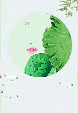 清新小暑节气荷花莲蓬背景素材