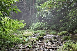 深山环境音效素材