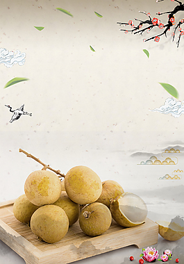 简约水果美味桂圆背景