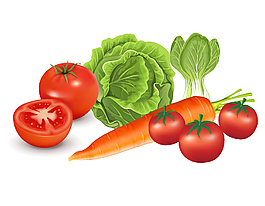 矢量番茄白菜元素