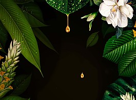 热带植物花朵海报背景