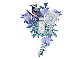 卡通花鸟图相机元素