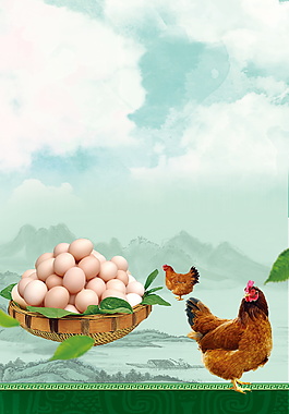 母鸡与一盆土鸡蛋背景素材