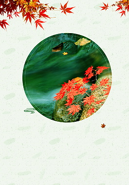 立秋节气枫叶背景