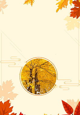秋季主题枫叶杏树背景