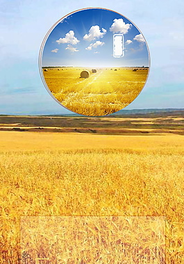 彩绘秋天丰收季麦田背景