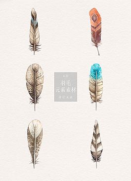卡通手绘的羽毛素材