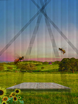 蓝天白云风景草地向日葵蜜蜂背景素材