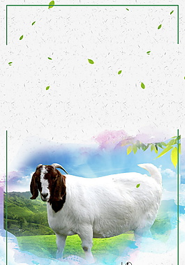 清新小羊广告背景