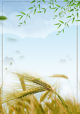二十四节气背景