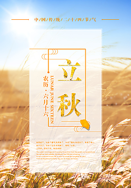 金黄色立秋丰收传统节日海报素材