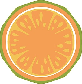 橙色橙子切片矢量素材