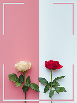 粉色花朵鲜花教师节促销海报背景