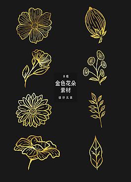 金色手绘花卉设计元素
