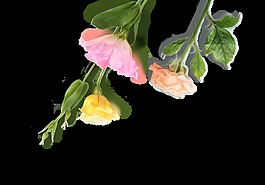鲜花花卉装饰素材