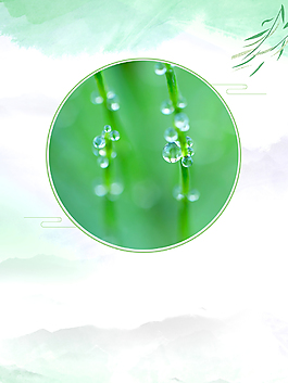 绿色小清新唯美二十四节气之白露背景