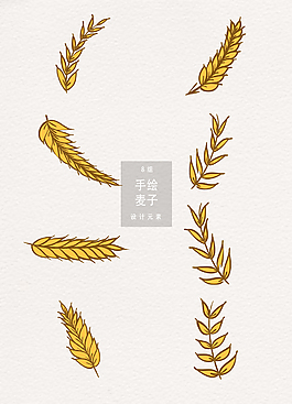 手绘麦子设计元素