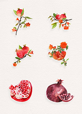 手绘新鲜水果石榴和石榴树枝设计