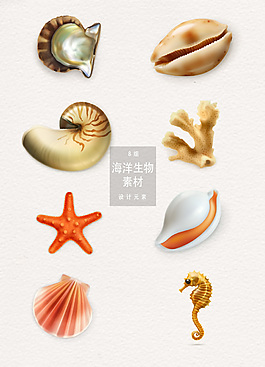 精美海洋生物矢量素材