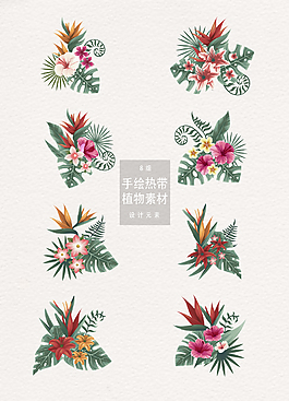 手绘热带植物花卉设计元素