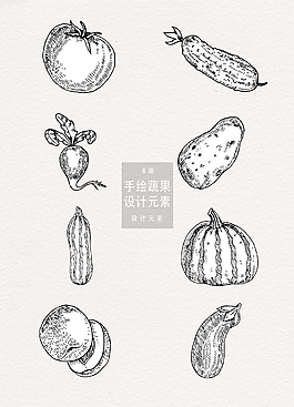 手绘蔬果插画设计元素