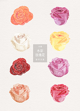 手绘唯美水彩玫瑰花设计元素