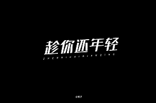 趁你还年轻字体设计