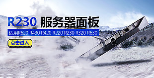 R230服务器海报