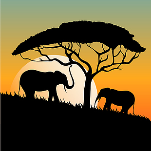 夕阳下的大象树木剪影素材