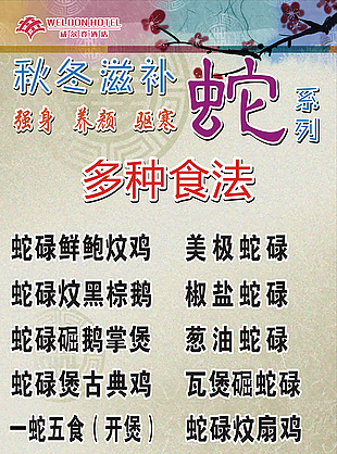 蛇美食展架海报素材