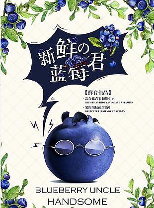 蓝莓 新鲜 水果