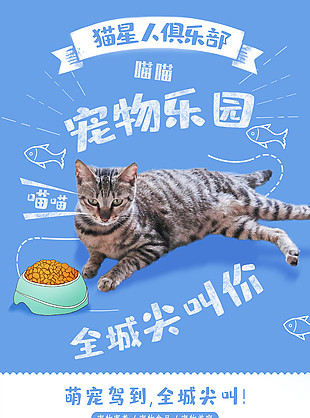 创意简约宠物乐园海报