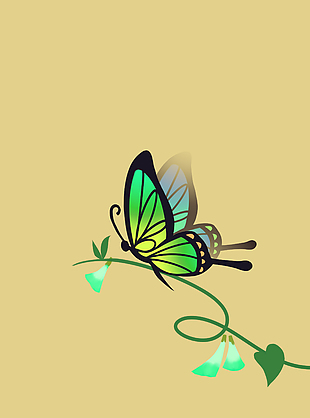 蝴蝶